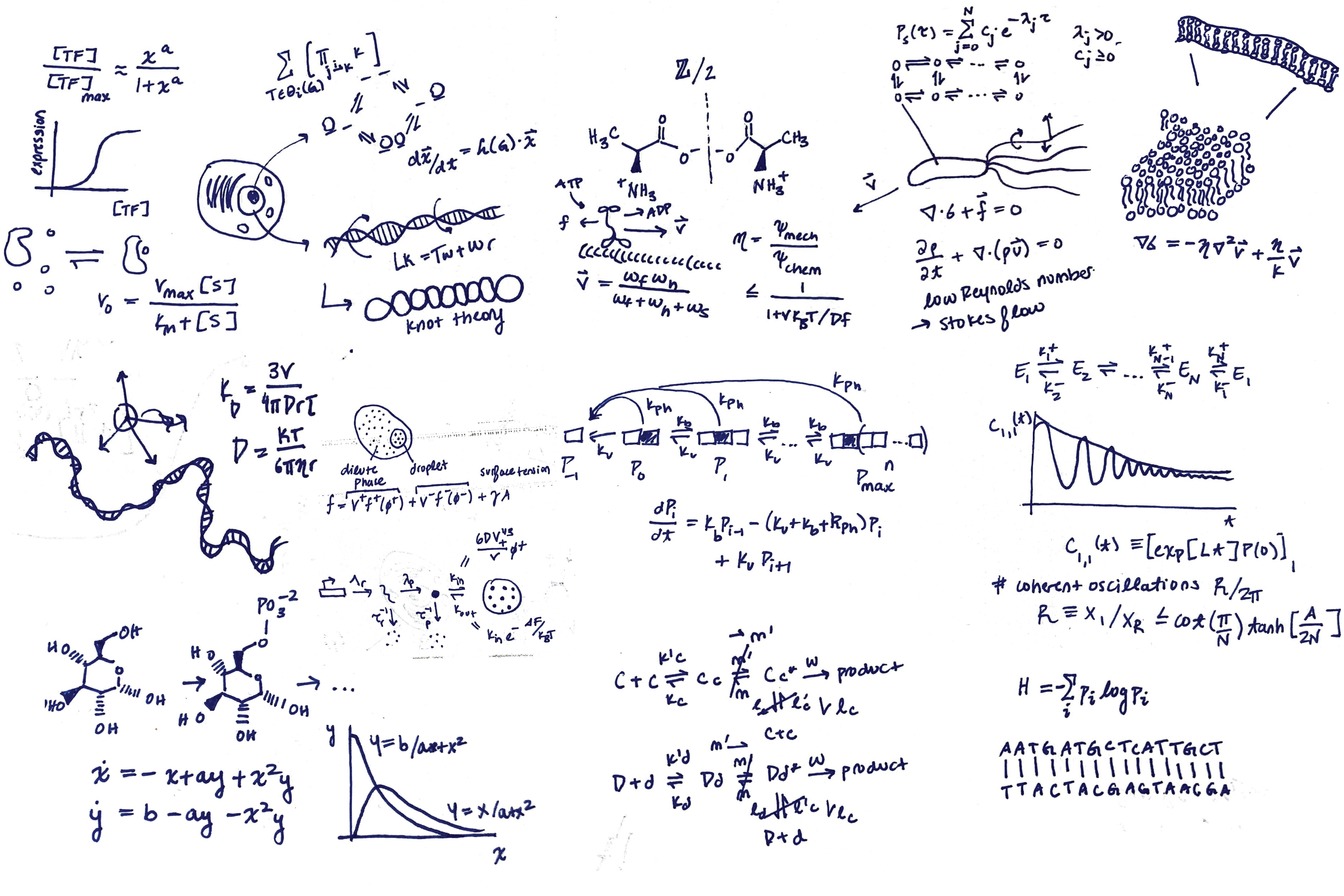 cellular-mathematics-grid